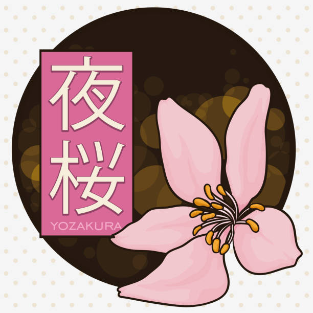 ilustraciones, imágenes clip art, dibujos animados e iconos de stock de botón para el con cerezos en flor para yozakura o hanami nocturna - hannah