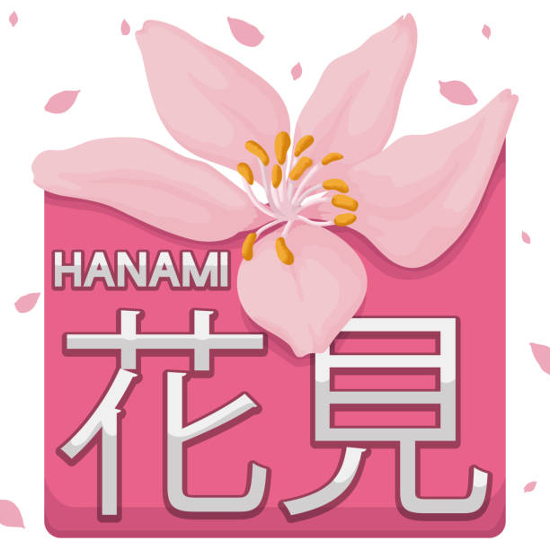 illustrazioni stock, clip art, cartoni animati e icone di tendenza di bellissimo fiore di ciliegio, doccia di petali e segno per hanami festival - hannah