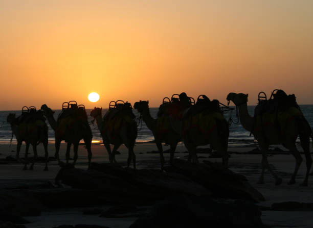istock Sunset over Cable Beach Broome. Western Australia 942477052