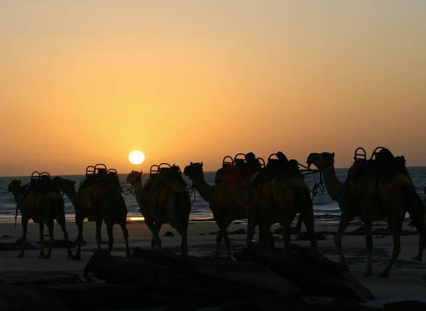 istock Sunset over Cable Beach Broome. Western Australia 942477086