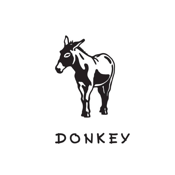 Donkey - black and white logo. Abstract drawing of cute animal of livestock. Vector illustration together with a large raster image. donkey stock illustrations