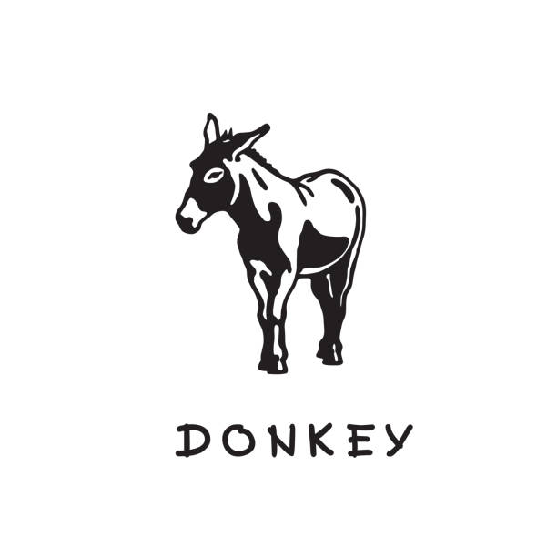 Donkey - black and white logo. Abstract drawing of cute animal of livestock. Vector illustration together with a large raster image. mule stock illustrations