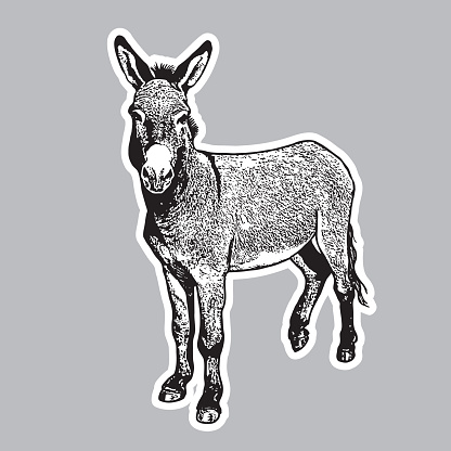 Cute farm animal in engraving style. Vector illustration together with a large raster image.