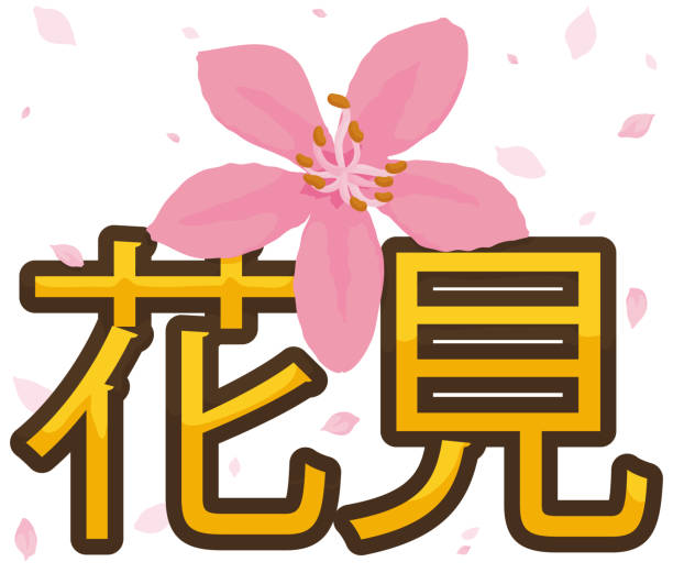 kirschbaum blume unter einem blütenblatt-dusche im hanami - hannah stock-grafiken, -clipart, -cartoons und -symbole