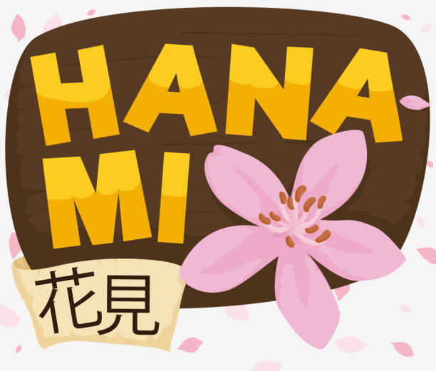 ilustraciones, imágenes clip art, dibujos animados e iconos de stock de cartel de madera, cinta y cereza florecen anunciando hanami y primavera - hannah