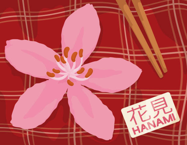 illustrazioni stock, clip art, cartoni animati e icone di tendenza di cherry bloom e tovaglia per picnic a hanami festival - hannah
