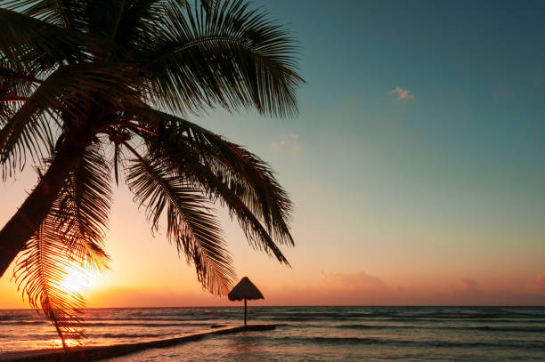istock Sunrise over Caribbean beach, Mayan Riviera, Mexico 942487230