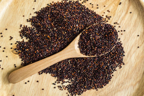 Black Quinoa seed stock photo