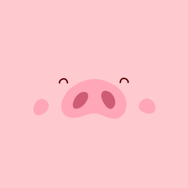 Pig Nose Illustrations, Royalty-Free Vector Graphics & Clip Art - iStock