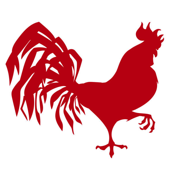 Red Rooster Vector 9,800+ Rooster Wallpaper Stock Illustrations, Royalty-Free Vector ...