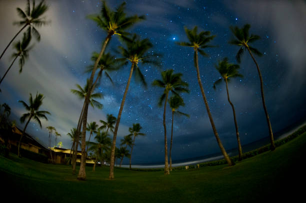 istock Milky Way over Maui 942492234