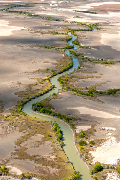 creek running towards the  gulf of carpentaria - arafura sea imagens e fotografias de stock