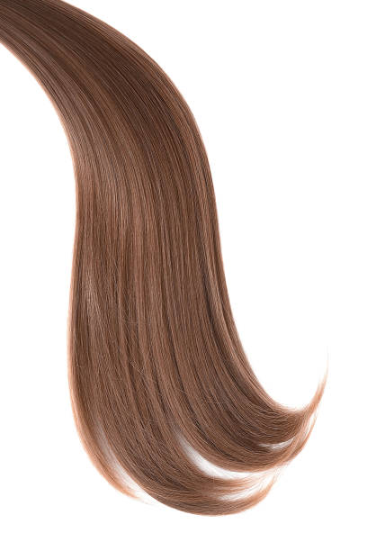istock Curl of natural hair on a white background 942498404