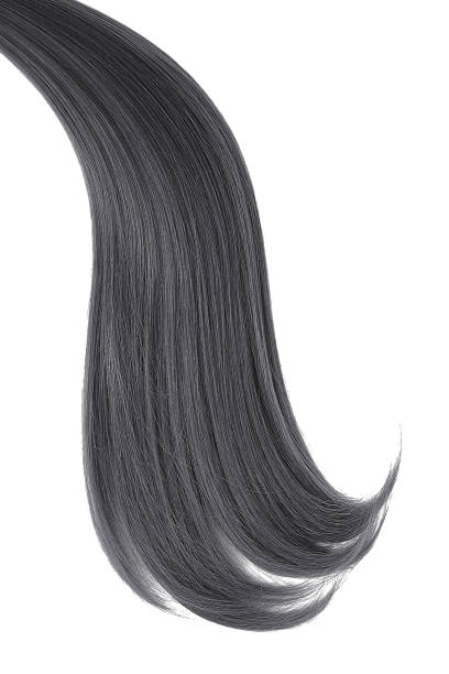 istock Black natural hair on white background 942498424