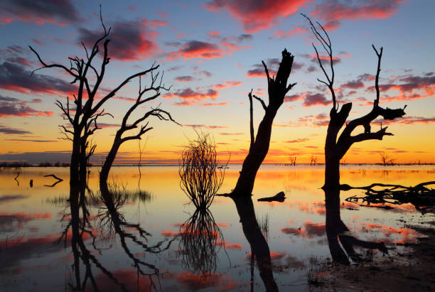 istock Sunset silhouettes on Lake Menindee 942505426