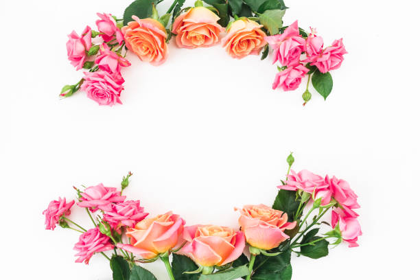 istock Floral frame with roses, buds and green leaves on white background. Flat lay, top view. Spring background 942506410