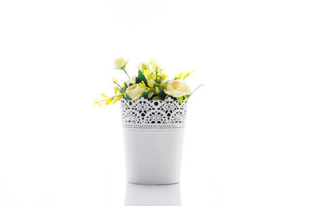 Trees, Flowers in pots on white background