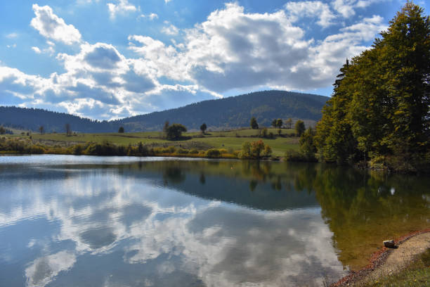 istock forest lake in mountains, place for walking, relaxation and tranquil vacation 942515740
