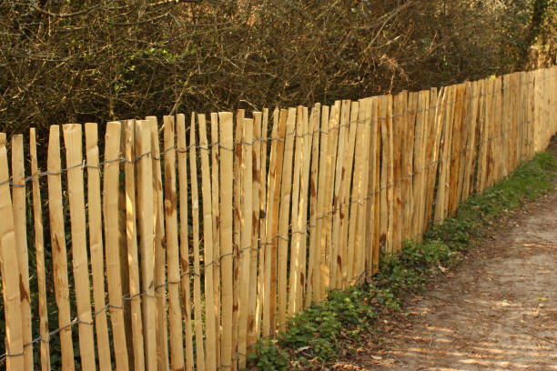 istock Fence poles for the protection of the dune 942522948