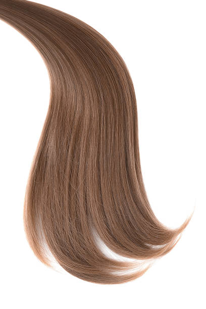 istock Curl of natural hair on a white background 942527066