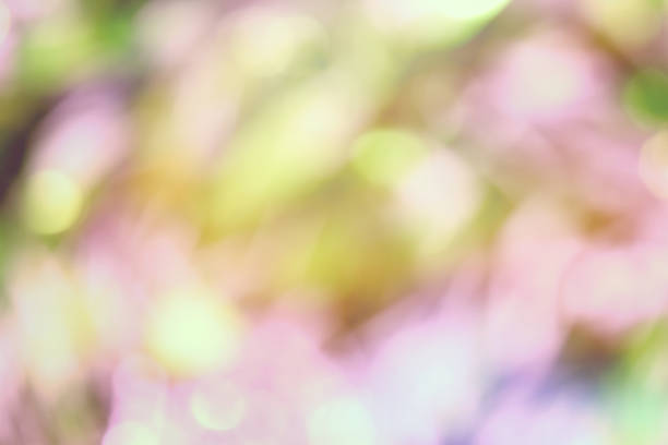 istock soft color abstract background with blurred defocus bokeh light for template 942530348