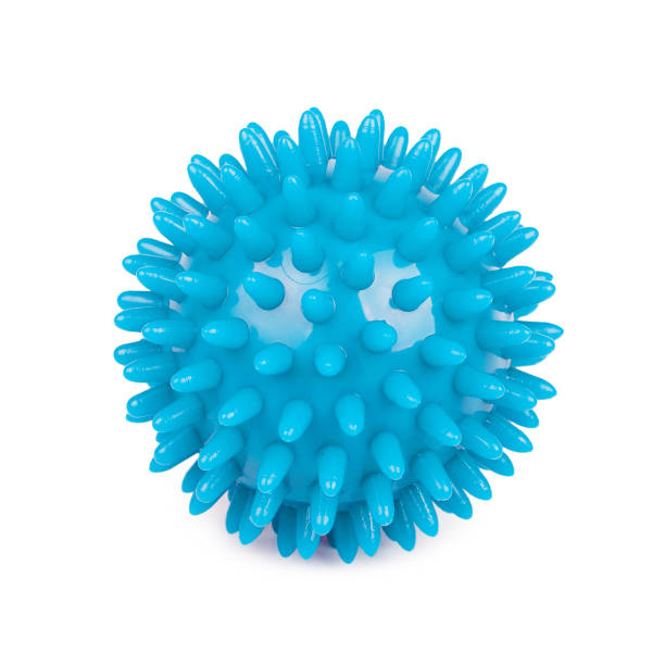 istock Blue rubber spiky ball for massage isolated on white background 942533296