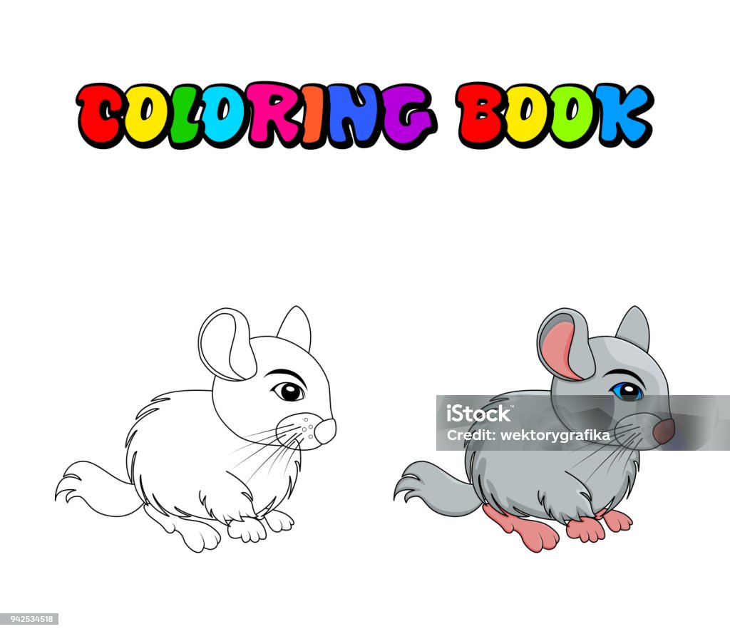 Cartoon chinchilla coloring book  isolated on white background Animal stock vector