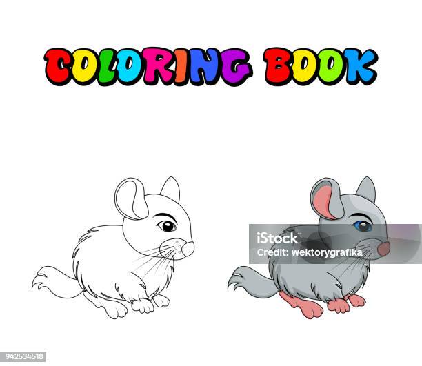 Cartoon Chinchilla Coloring Book Isolated On White Background Stock Illustration - Download Image Now