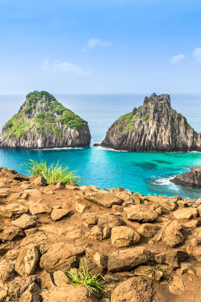 istock Fernando de Noronha, Brazil 942539126