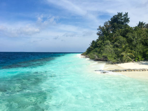istock Tropical Island on Maldives 942540822