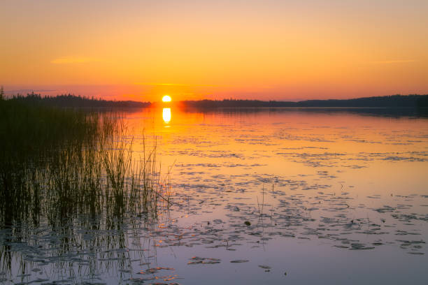 istock Summer night sunset scene from Kuhmo, Finland. 942550448