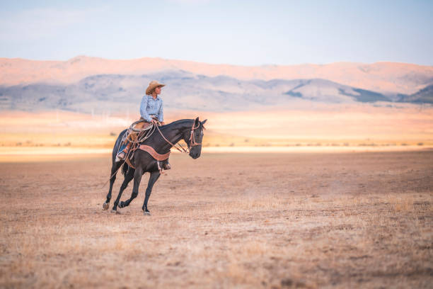 cowgirl montando um cavalo na natureza - horseback riding cowboy riding recreational pursuit - fotografias e filmes do acervo