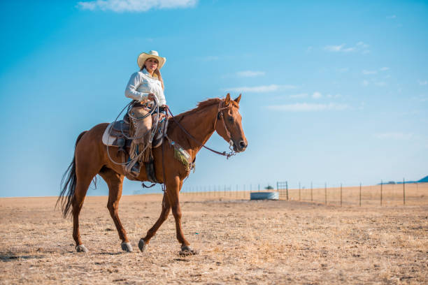 istock Sunlight and horseback riding is a perfect combination 942580338