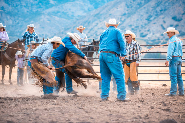istock Cowboy lassoing in rodeo arena 942580428