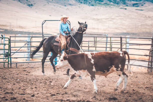 istock Cowgirl lassoing in rodeo arena 942580430