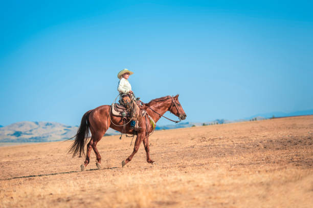 istock Sunlight and horseback riding is a perfect combination 942580452