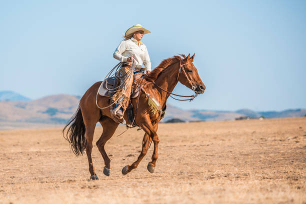 istock Sunlight and horseback riding is a perfect combination 942580456