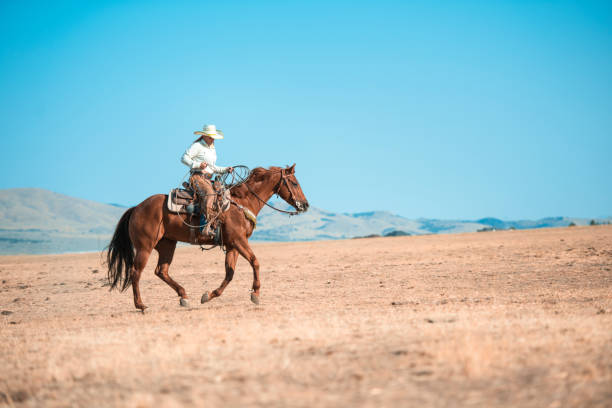 istock Sunlight and horseback riding is a perfect combination 942580464