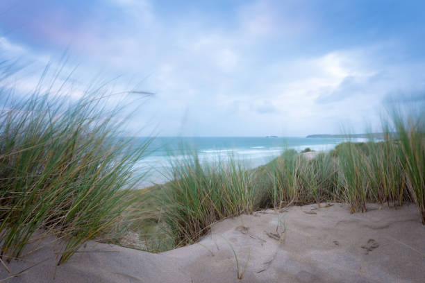 istock Sea view between sand dune grasses at Hayle in Cornwall, England 942584468