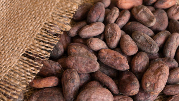 istock Big cocoa beans in a jute bag 942586650