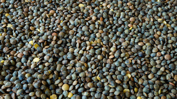 istock Raw french lentils as food background 942587660