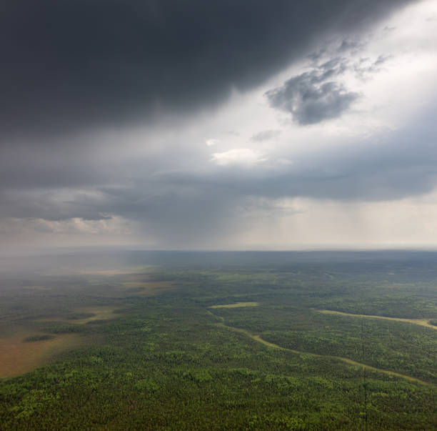 giornata piovosa sopra la pianura forestale, vista aerea - meteorology rain fog forest foto e immagini stock