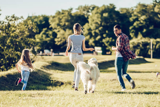 istock Happy family with dog 942596436
