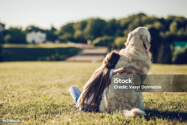 Little Cute Girl With Dog Stock Photo - Download Image Now - Dog, Child, Pets