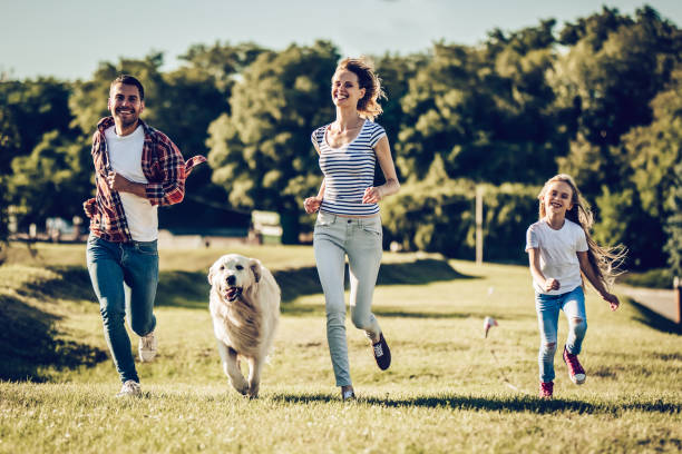 istock Happy family with dog 942596470