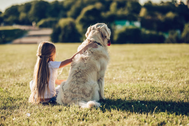 istock Little cute girl with dog 942596474