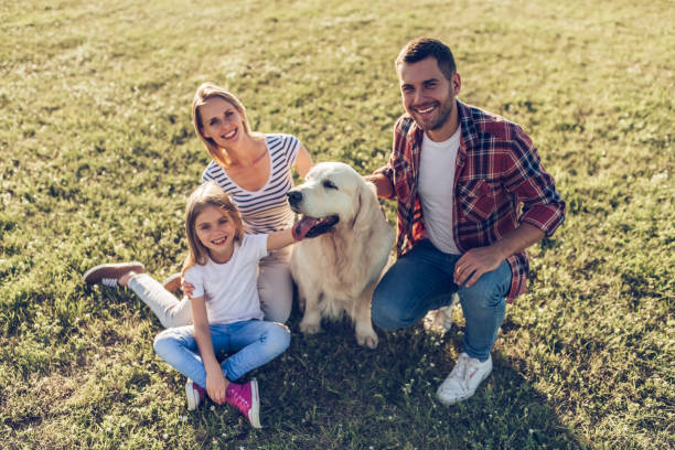 istock Happy family with dog 942596604