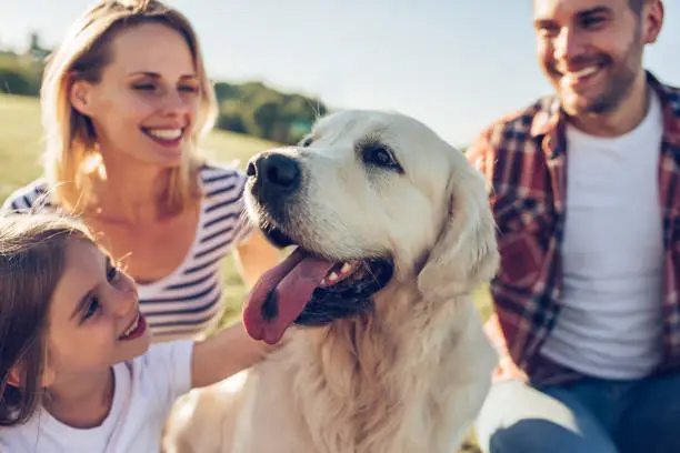 Beautiful happy family is having fun with golden retriever outdoors. Mother, father and daughter are sitting with dog labrador on green grass in park.