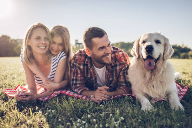 istock Happy family with dog 942596636