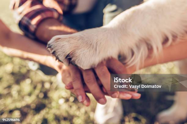 Glückliche Familie Mit Hund Stockfoto und mehr Bilder von Hund - Hund, Pfote, Hand